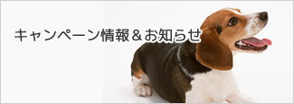提携店舗のポイントカードまたはレシートを提示していただくと20％OFF！