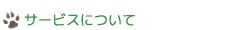 ޽ɂ